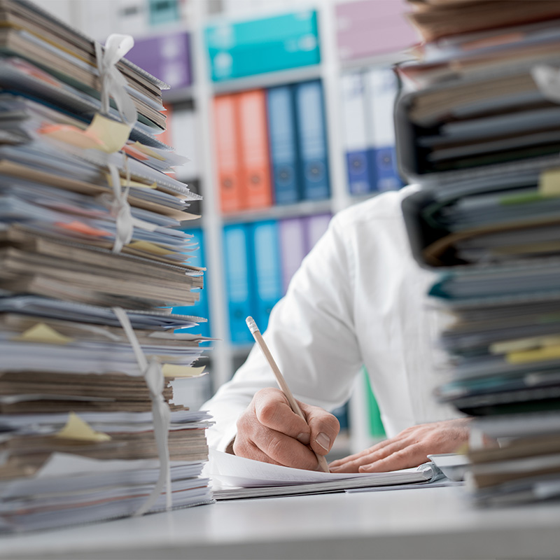 Willkommen im Paragraphen-Dschungel